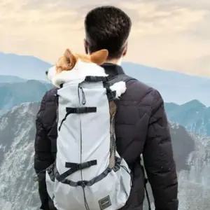 강아지 라이더 배낭 L 1P 반려견 방수 라이딩 가방