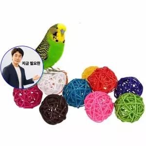 지금 필요한 장난감 잉꼬 씹기 10개 놀이 앵무새공 케이 등나무