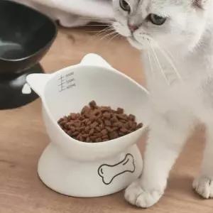 밥그릇 강아지고양이 세라믹 1구 굽높은 물그릇 사료기 애견용
