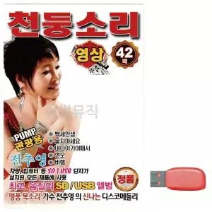 [하프클럽/]부모님 선물 USB PUMP 관광용 전추영 천둥소리 (영상)
