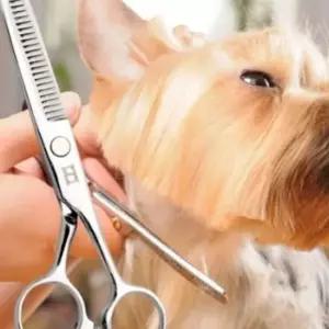 강아지 고양이 수제품 미용 이발가위 숱가위 5인치