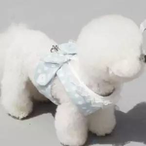 강아지 도트 하네스 블루 1P 매쉬 땡땡이 리본 프릴