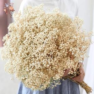 60G 말린 호흡 꽃다발 자연 GYPSOPHILA 테이블 발렌타인 데이 크리스마스