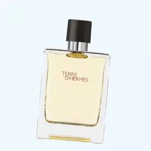 에르메스 퍼퓸 향수 떼르 데르메스 오드뚜왈렛 100ml 111101963 5042310