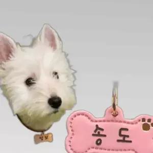 강아지 가죽 인식표 목걸이 네임텍 각인 뼈다귀 1P