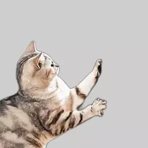 고양이 스크래치 패드 30x29 벽 스크래쳐 DD-12823