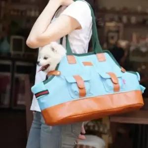 강아지 고양이 월튼 2마리 펫백 산책 이동 가방