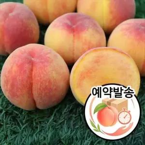 햇사레 장호원 이종태 명인 황도복숭아 4kg 왕과