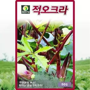 다농 적오크라 씨앗 50립 적색 오크라씨 희귀 채소 종자