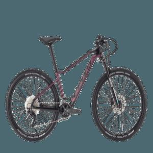 2024 첼로 27.5 XC PRO 10 22단 카본 MTB 자전거