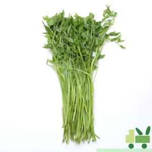 돌미나리 500g