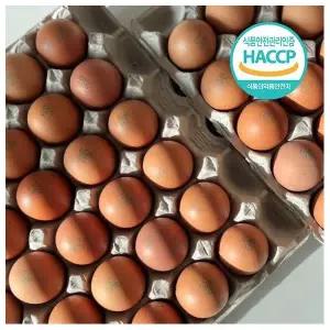 HACCP 저온숙성 구운란 구운계란 대란 30구 간식 다이어트 무항생제