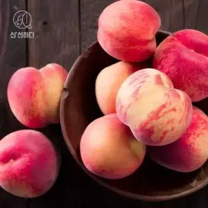 아삭달콤 백도 딱딱이복숭아 2kg 중과이상