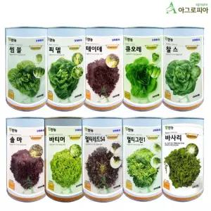 유럽 상추 대용량 5000립 모음 바사리 바티머 그린글레이스 멀티그린 테이데 솔마 나이데 찰스 피델 큐오레 씸블 샐러드 상추 씨앗