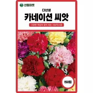 카네이션 씨앗 150립 믹스종으로 다양한 색상이 피는 다년생 꽃씨 종자