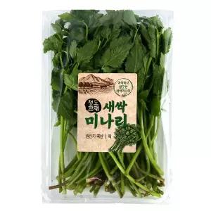 한재 새싹 미나리 (팩)