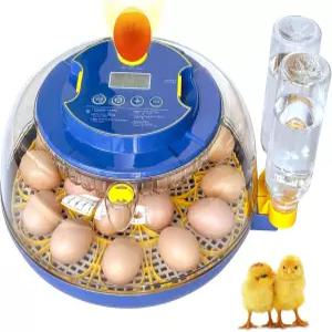 Achicklead 18 인큐베이터 온도 및 습도 조절 기능이 있는 자동 터너 LED 캔들러 360° 보기 외부 물병