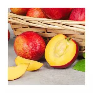 산지직송 썬프레 복숭아 2kg 국내산 천도복숭아 고당도 제철 과일