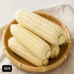 전남 미백 햇 찰옥수수 (35개, 17cm 이상)