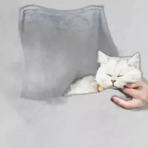 PET 강아지 고양이 그루밍 앞치마 캥거루 포대기 담요