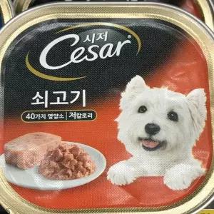 [하프클럽/알티피아]시저 쇠고기 100g 강아지 애견 반려견 습식 주식캔