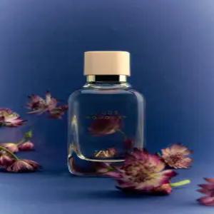 ZARA 누드 부케 오드 퍼퓸 100ML (3.4 FL. OZ)