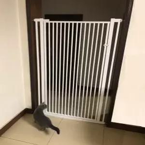 방범창 고양이방범창 안전문 고양이 방문 펫도