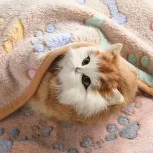 겨울 벨벳 애완동물 수면 담요 발바닥/점/뼈 무늬 강아지 고양이 세탁 타월 플리스 소프트 침대 매트