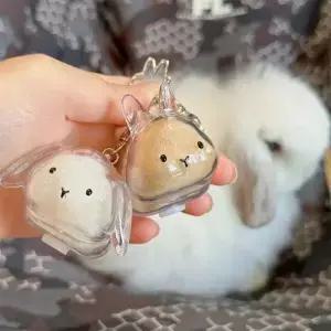 투명 토끼 머리 보관 병 애완 동물 캡슐 키 체인 애호가와 소유자를위한 사려 깊은 선물