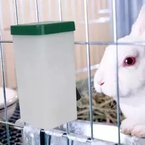 애완동물 물병 급수기 걸이형 애완견 기니피그 다람쥐 토끼 음수대 파이프 분수 애완용품