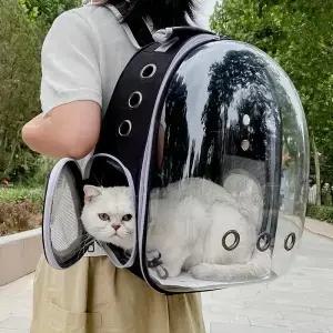고양이 나들이 가방 애완 동물 초대형 공간 운반 캐빈 항공 상자 배낭 측면 개방
