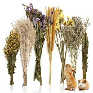 SUKH 47PCS 천연 햄스터 허브 침구 - 작은 동물 서식지 장식을 위한 말린 꽃과 사료 혼합물 시리아 난쟁이 햄스터를 농축 장난감 기니피그 저빌