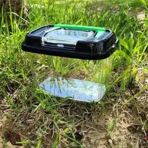 Made in Japan 투명 곤충 사육 케이스 곤충케이스 사육통 곤충집 애완곤충 사육용품 곤충사육