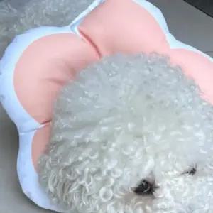 꽃피는 강아지 강아지목 고양이 쿠션 넥카라 핑크 L