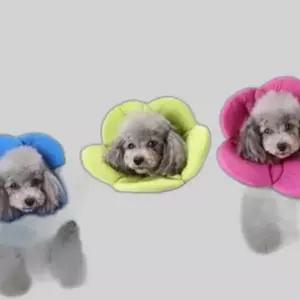 플라워 넥카라S(그린)