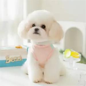 메쉬 애견 여름옷 2개 고양이 강아지 쿨조끼 민소매
