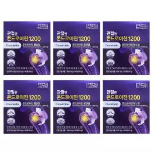 주영엔에스 관절엔 콘드로이친 1200 지성 콘드로이친 60정 6박스