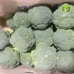 국내산 브로콜리 특 4kg
