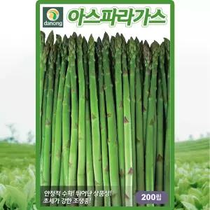 다농 아스파라거스 씨앗 200립 조생종 아스파라거스씨 종자