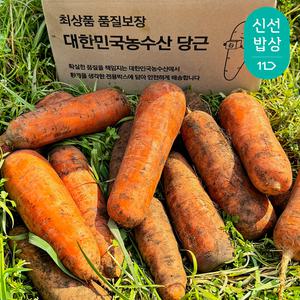 [대한민국농수산] 국내산 신선한 햇당근 흙당근 (중) 5kg