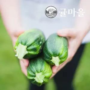 국내산 가정용 애호박 5개