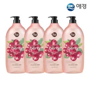 샤워메이트 프레시 네이처 약산성 대용량 바디워시 1.2kg X 4개