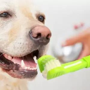 강아지 고양이 치아관리 3헤드 삼두 양치 칫솔 2개세