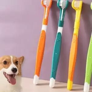 고양이 반려동물 칫솔 3개입 치아 강아지 칫솔 구강 관리