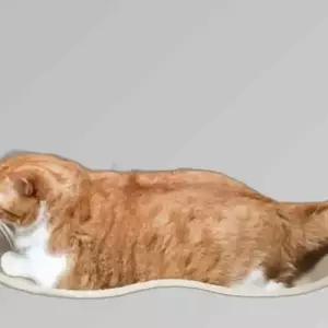 고양이 베드 종이 방석 매트 하우스 집 쇼파