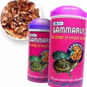 거북이 고단백 사료 감마루스 1000ml
