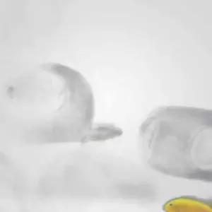 어항꾸미기 물고기 은신처 구피 소형 어항수초 구피 수족관장식 놀이터