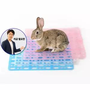지금 필요한 매트 기니피그 소동물 거름망 고슴도치 발판 토끼 케이 5p