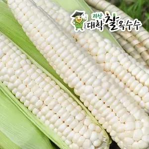 괴산 대학찰옥수수 60개 (선별 17cm)
