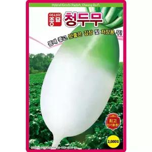 아시아종묘 청두무 씨앗 2000립 가을 김장무씨 종자